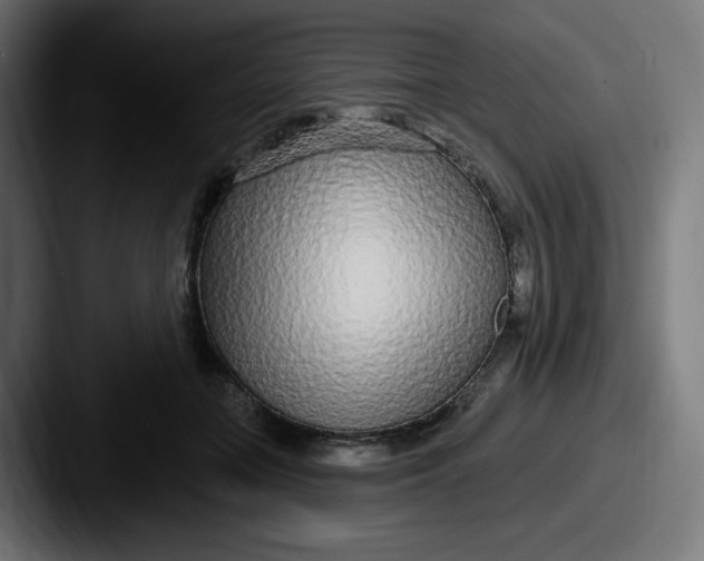 X0000087570555200705181144