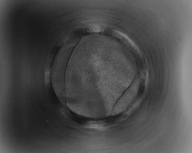 X0000087570556200705181144