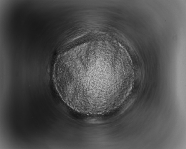 X0000087570557200705181144