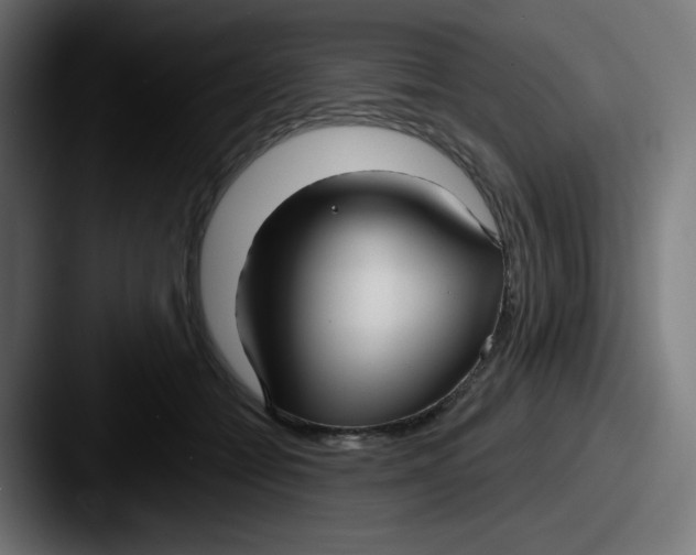 X0000087570558200705181144