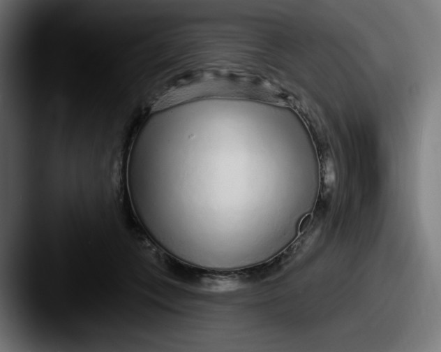 X0000087570559200705181144