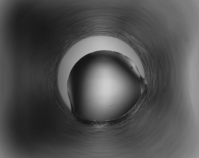 X0000087570560200705181144