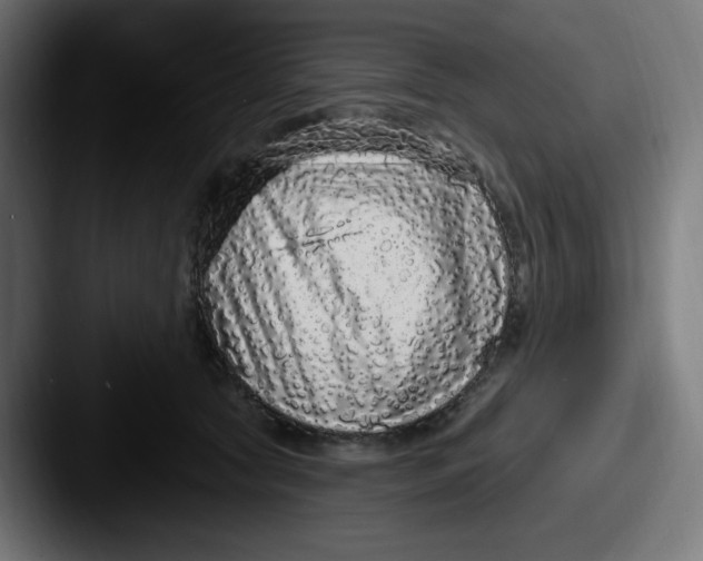 X0000087570561200705181145