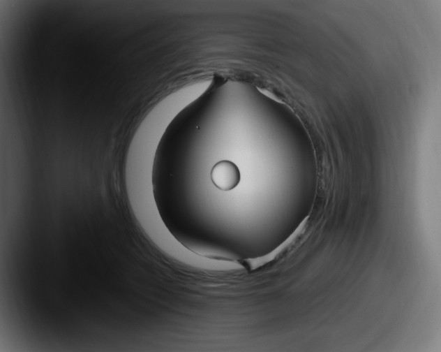 X0000087570562200705181145