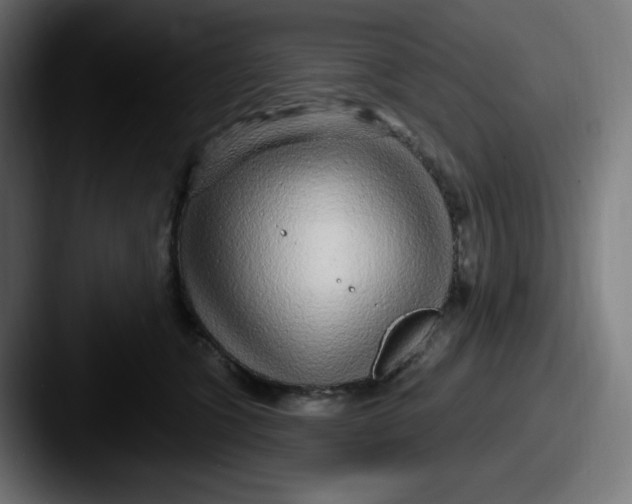 X0000087570563200705181145