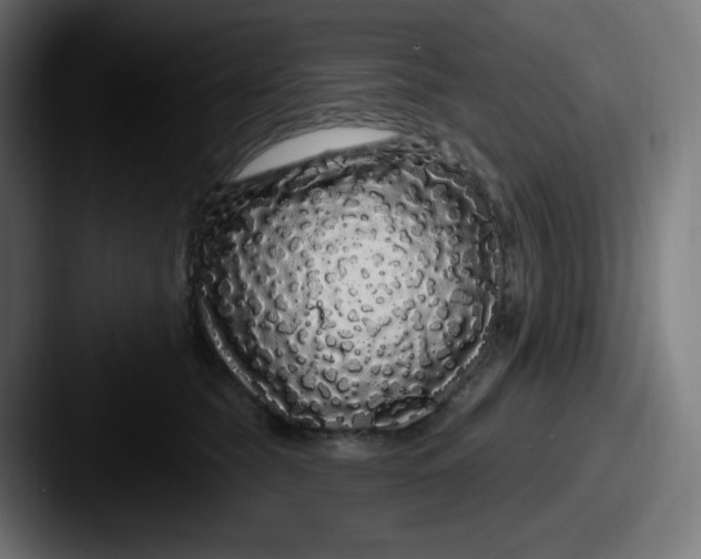 X0000087570565200705181145