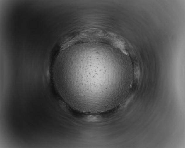 X0000087570566200705181145