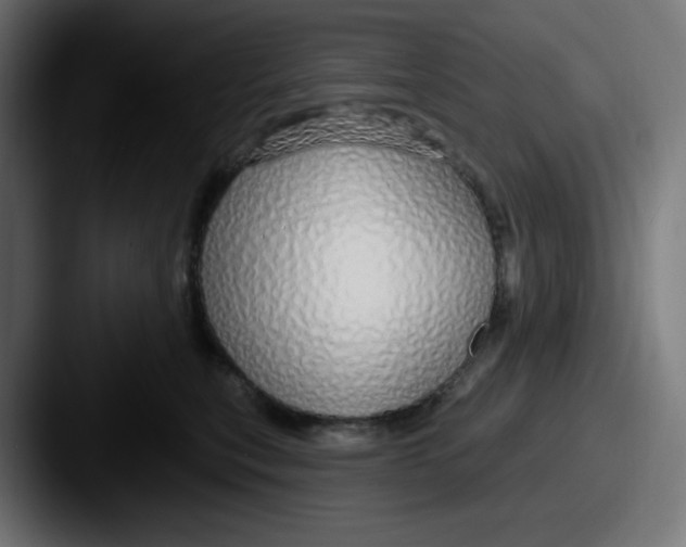 X0000087570567200705181145