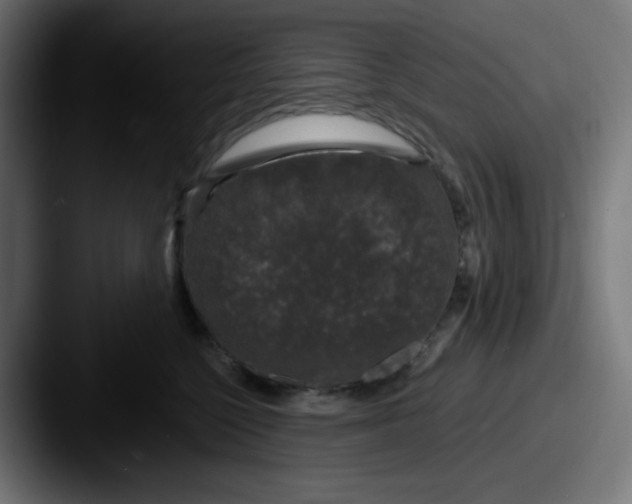 X0000087570568200705181145