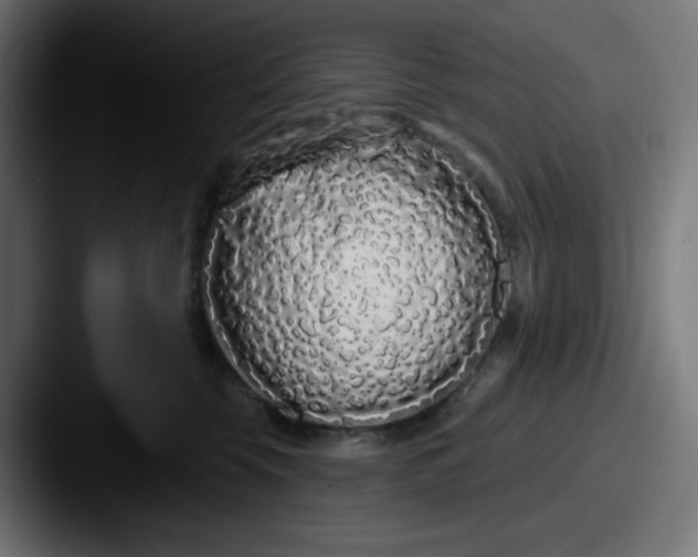 X0000087570569200705181145