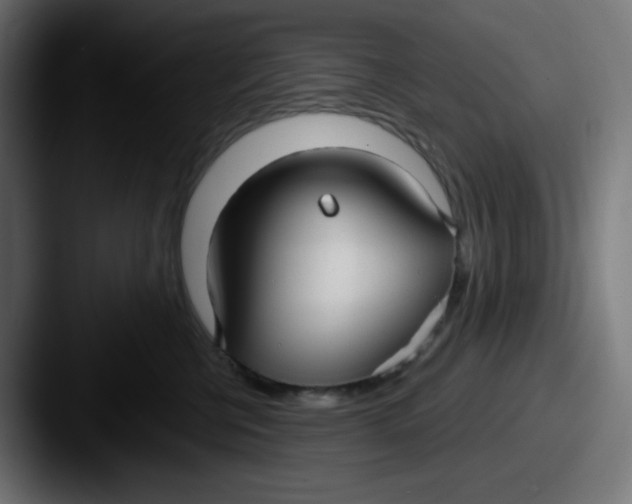 X0000087570570200705181145