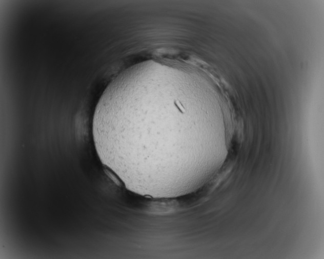 X0000087570571200705181145