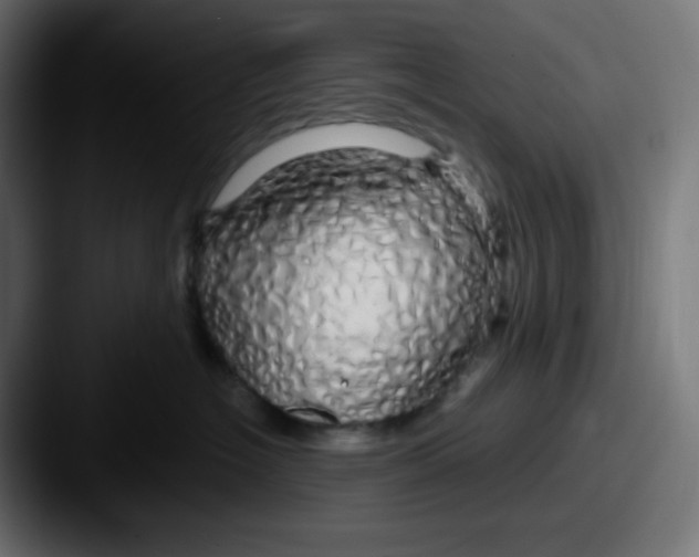 X0000087570574200705181145