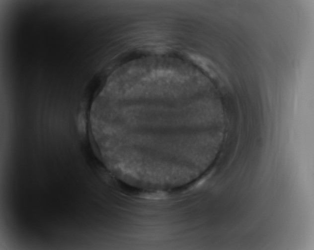 X0000087570576200705181145