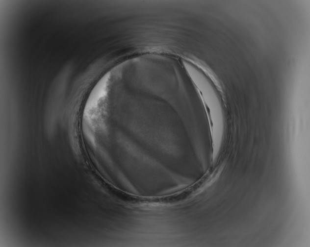 X0000087570577200705181144