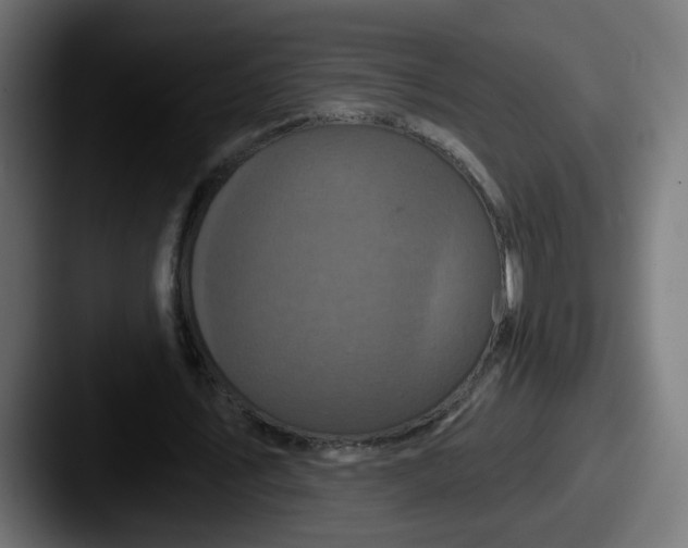 X0000087570579200705181144