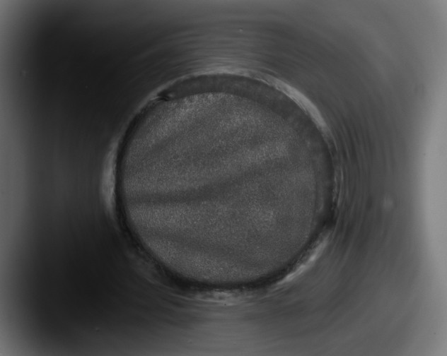 X0000087570580200705181144