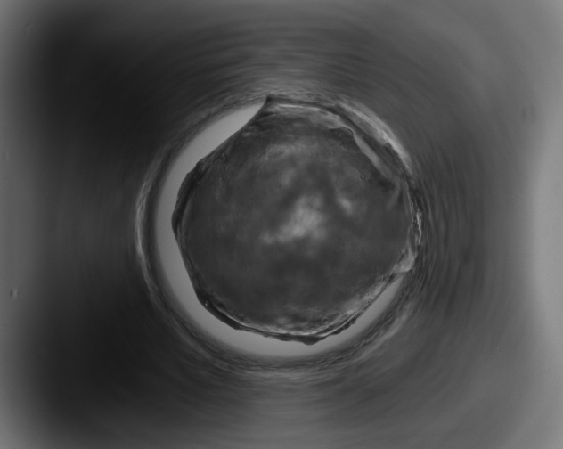 X0000087570581200705181144