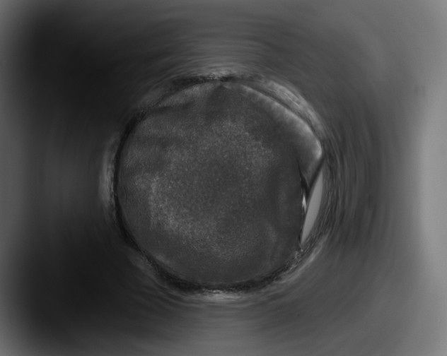 X0000087570585200705181144