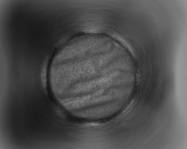 X0000087570586200705181144