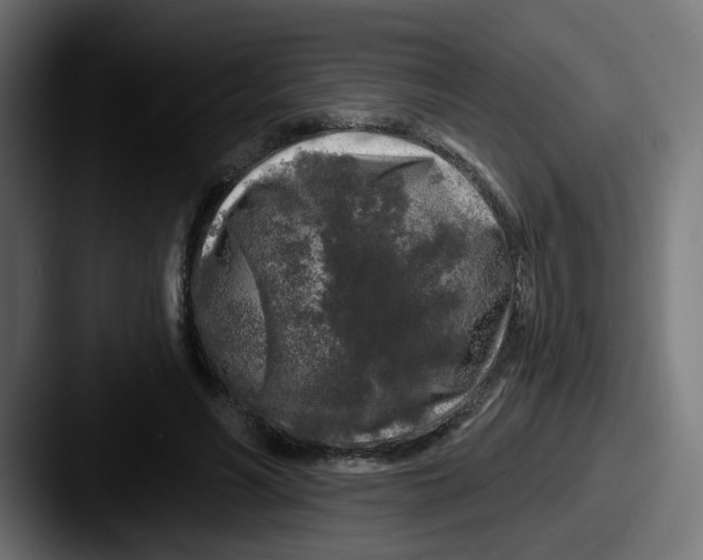 X0000087570590200705181144