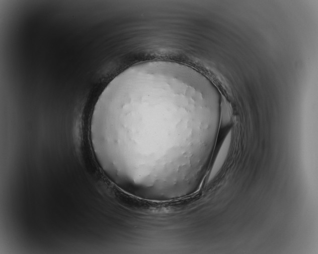 X0000087570591200705181144