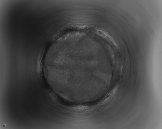 X0000087570593200705181144