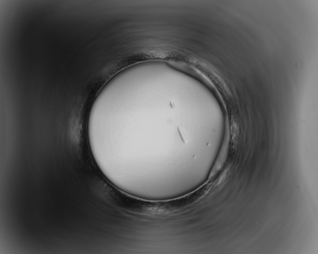 X0000087570596200705181144