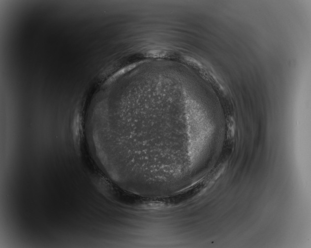 X0000087570598200705181144