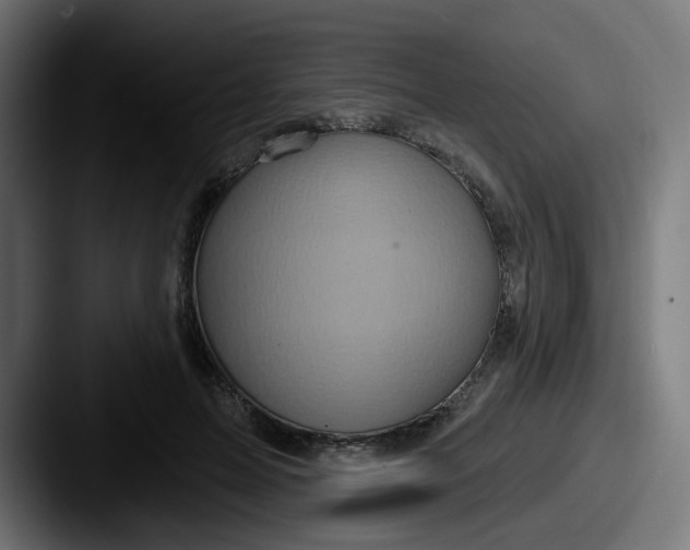 X0000087570599200705181144