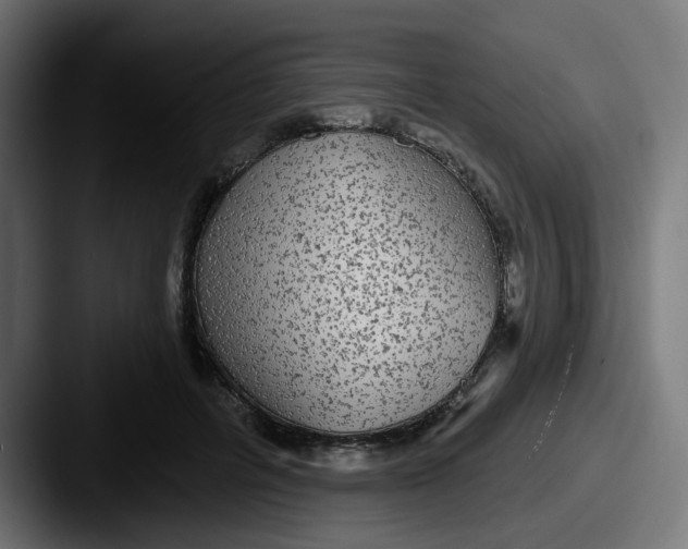 X0000087570600200705181144