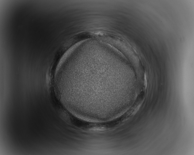 X0000087570601200705181144