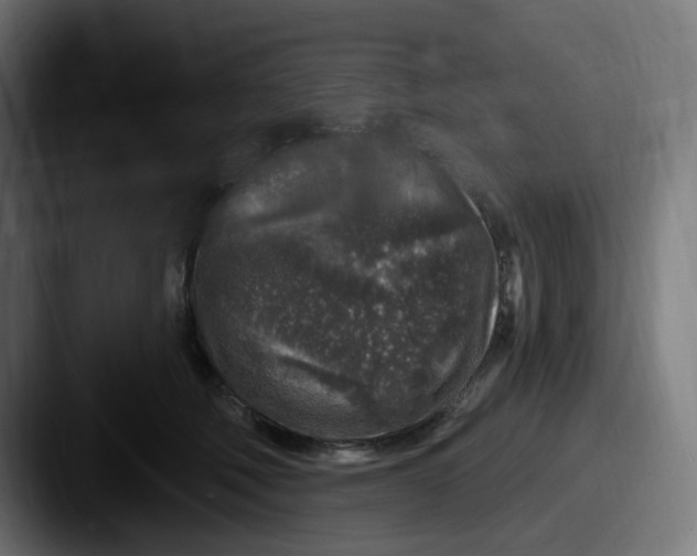 X0000087570610200705181144