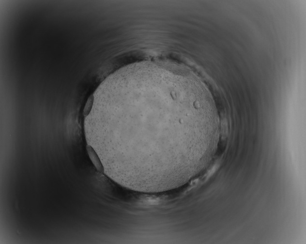 X0000087570613200705181144