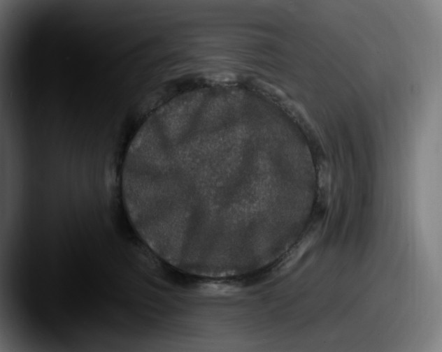 X0000087570614200705181144