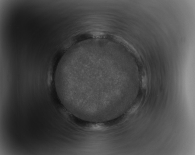 X0000087570618200705181144