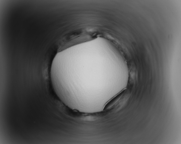 X0000087570620200705181144