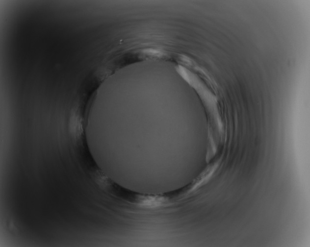 X0000087570621200705181144