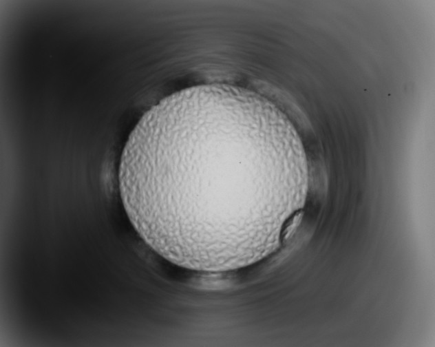 X0000087570622200705181144