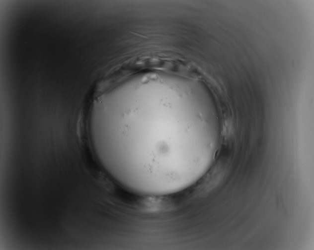 X0000087570623200705181144