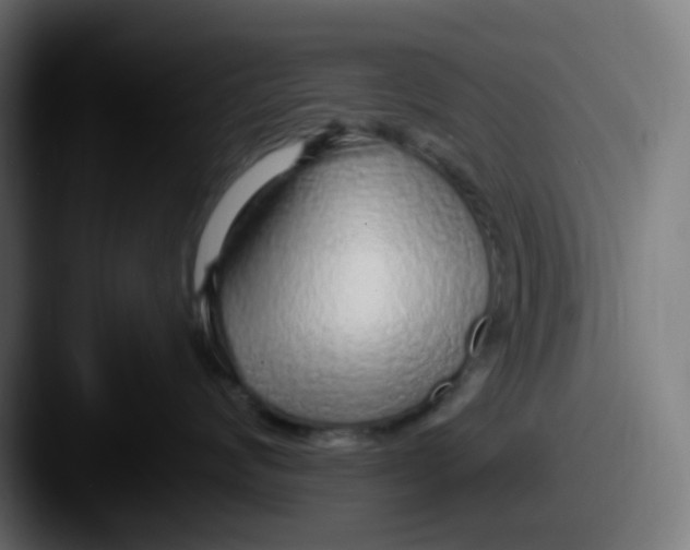 X0000087570624200705181144