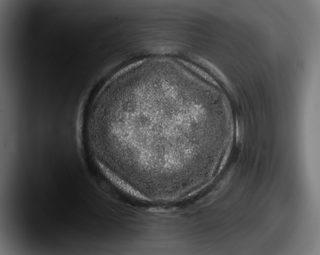 X0000087570627200705181143