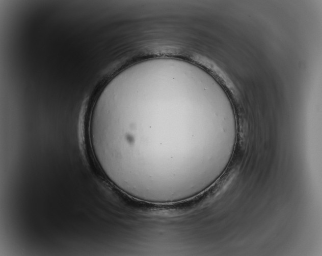 X0000087570629200705181143