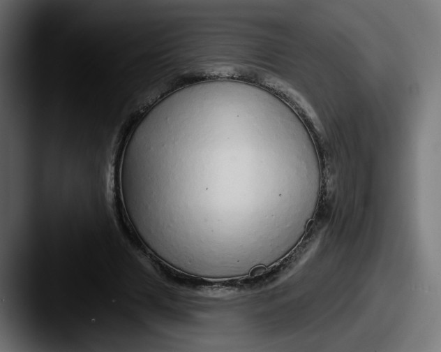 X0000087570633200705181143