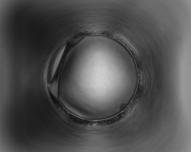 X0000087570634200705181143