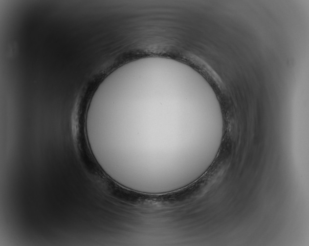 X0000087570635200705181143