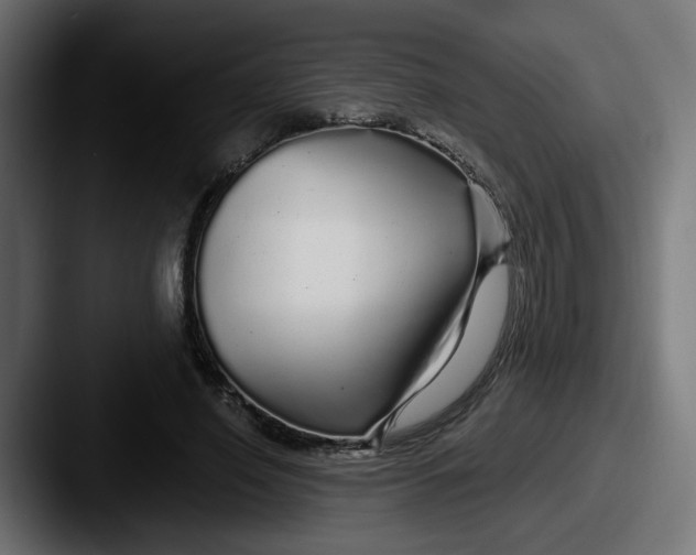 X0000087570638200705181143