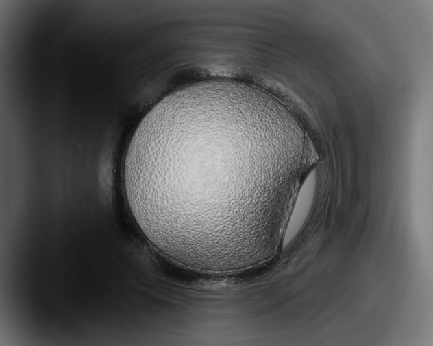 X0000087570639200705181143