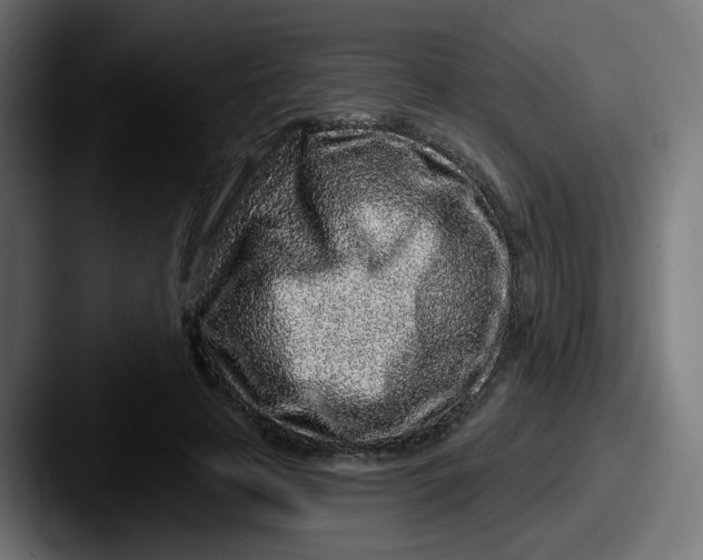 X0000087570641200705181143