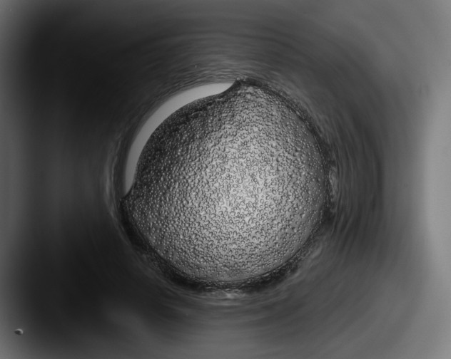 X0000087570642200705181143